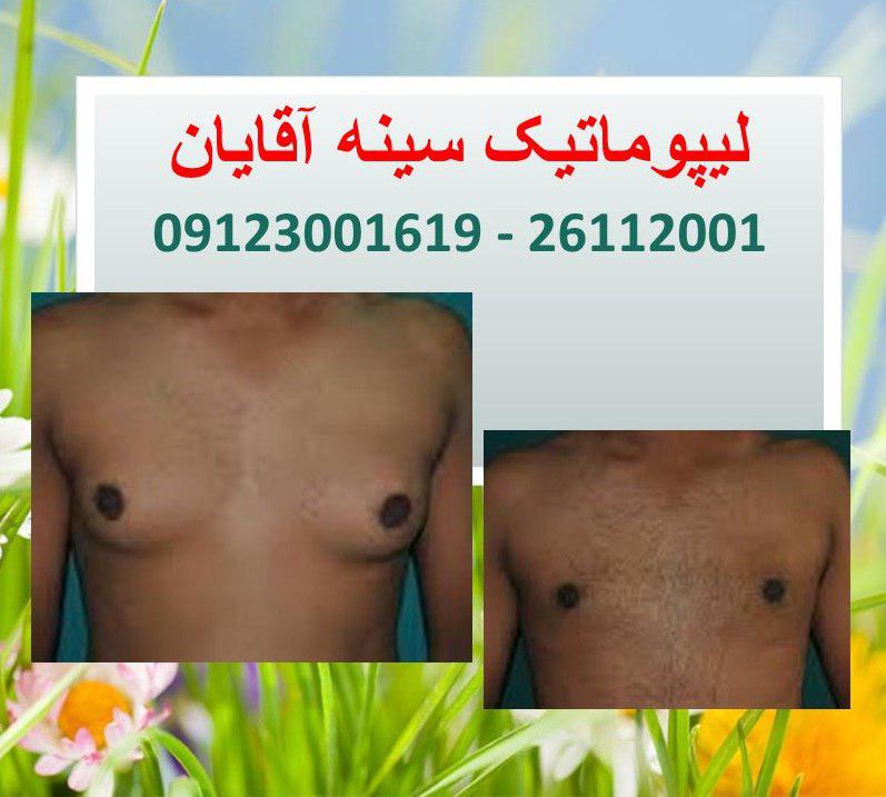 پیکر تراشی12
